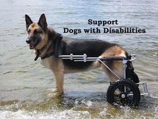 Eddie's Wheels for Pets