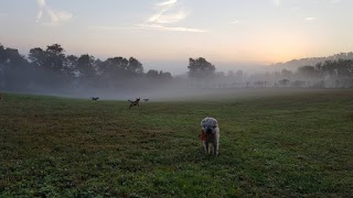 Applebrook Inn Veterinary Center & Pet Resort