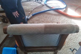 Daisy Carpet Cleaning