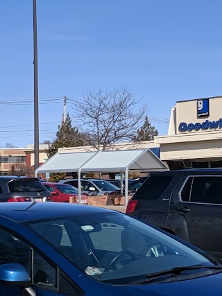 The Goodwill Store