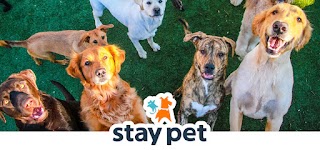 Stay Pet (Resort & Veterinary)