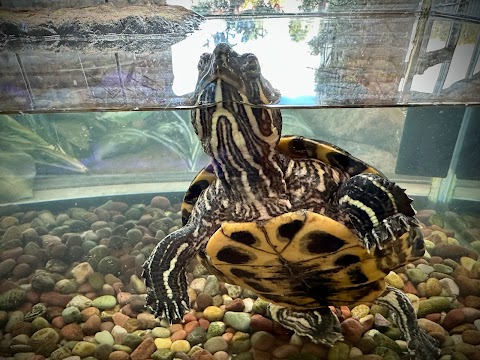 Children's Museum of Skagit County