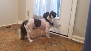 The Grooming Barn