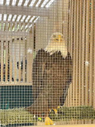 Liberty Wildlife (hospital intake daily 8-6pm, open hours vary - see website)