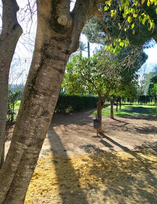 Parque de la Alquería