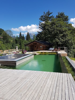 Brunnenhof Oberstdorf Ferienwohnungen Bergbahnen inklusive mit Hotelservice