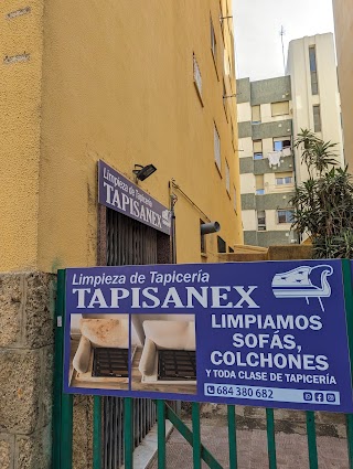 Limpieza de Tapicería | Tapisanex