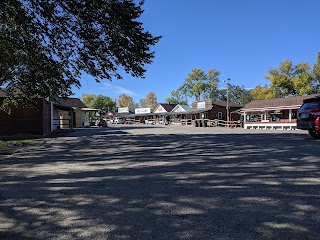 World's Largest Buffalo