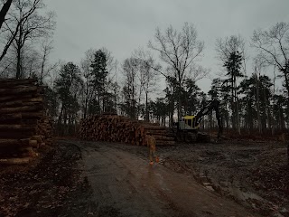 Luke Road - Delaware State Forest