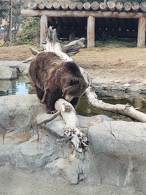 Utah's Hogle Zoo