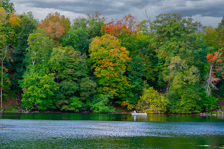 Pinhook Park