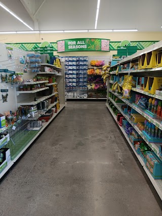 Dollar Tree