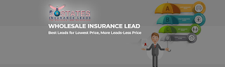 50 States Insurance Leads, LLC