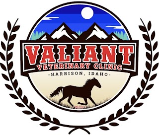 Valiant Veterinary Clinic