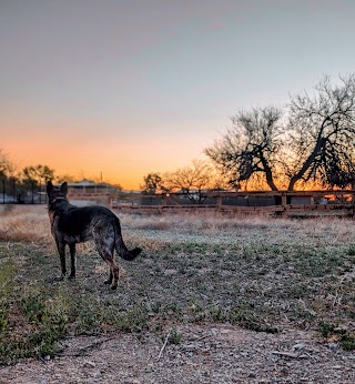 Tolleson Animal Clinic