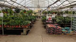 J&J Nursery and Garden Center