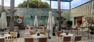 Salicornia Chill Out Bar-terraza