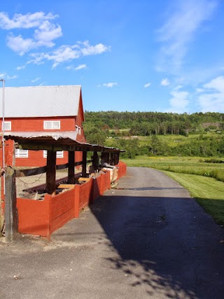 Clover Acres Livestock Veterinary Services