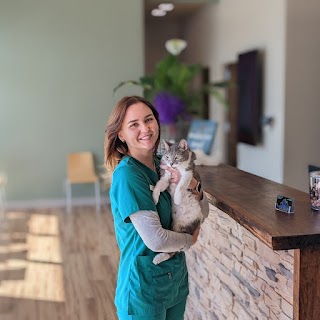 Mountain View Animal Hospital