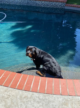 San Marcos Pool and Spa