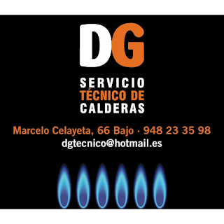 DG SERVICIO TECNICO DE CALDERAS
