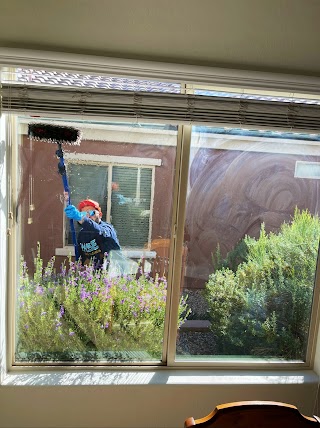 Wise Window Cleaners