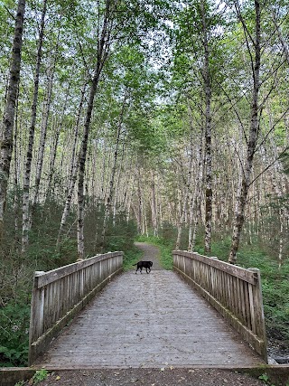 Dzantik'i Heeni Trailhead