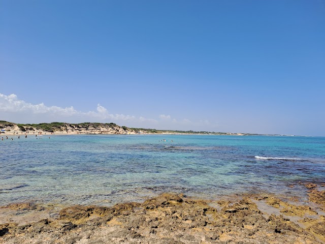 Riserva Naturale Torre Guaceto