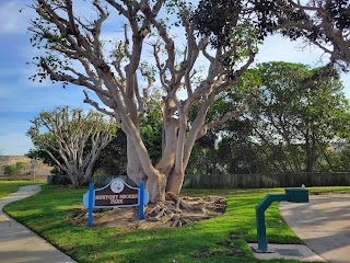 Newport Shores Park