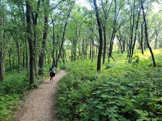 Indiana Dunes National Park Cowles Bog Trail