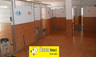 Residencia de Mascotas Raza Hotel