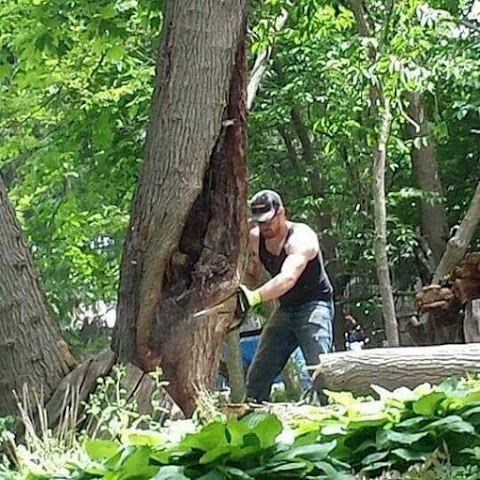 Photo of Sawsall Tree Removal - 2032 East River Road, Freeport, IL 61032, USA