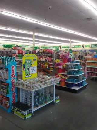 Dollar Tree