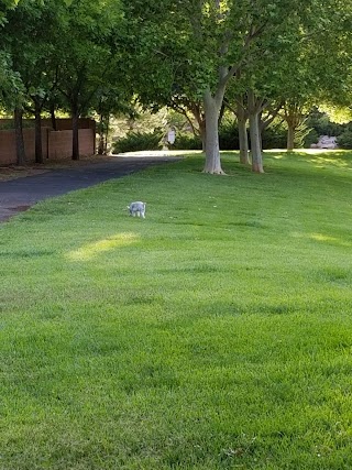 Shadow Mountain Park