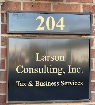 Larson Consulting Inc