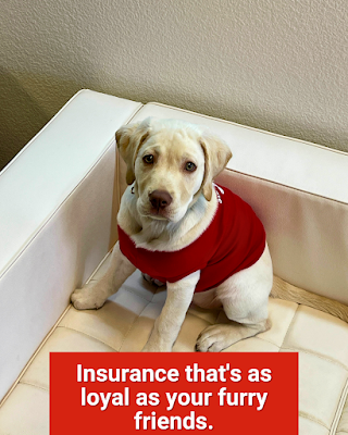 Dimitri Kondos - State Farm Insurance Agent