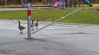 College Gate Elementary School