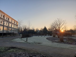 Krankenhaus-Park