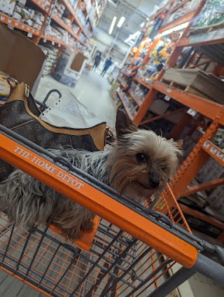 The Home Depot