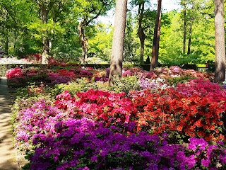 Botanischer Garten Bremen