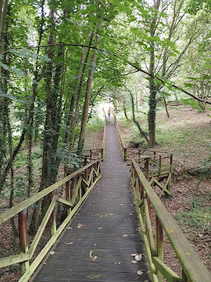 Bosque dos Veciños