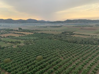 Globodromo Ballonhafen Balloon Airport Mallorca Balloons