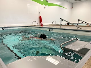 The Swim Studio