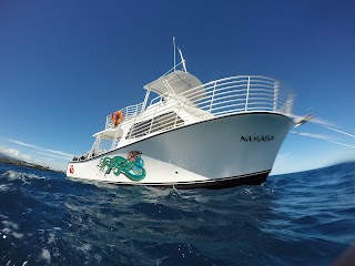 Kohala Divers Ltd