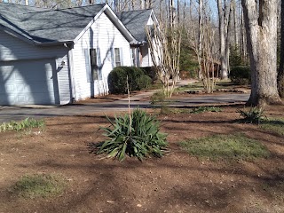 B&B Landscaping & Handyman Services