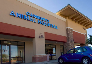 Camelwest Animal Hospital