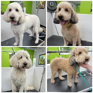 Cut & Dry Pet Salon