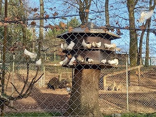 Parc animalier de Nahuques