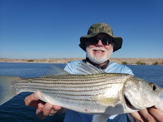 Lake Mead Fishing Guides Las Vegas Fishing Charter Tours