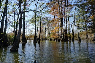 Cypress Creek National Wildlife Refuge